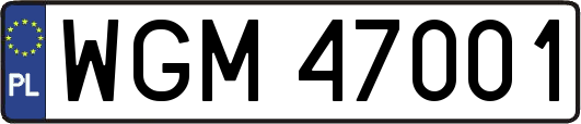 WGM47001