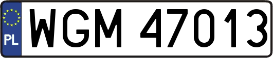 WGM47013