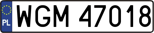 WGM47018