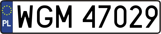 WGM47029