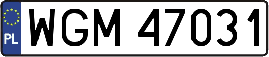 WGM47031