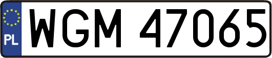 WGM47065