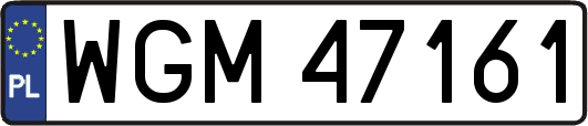 WGM47161