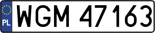 WGM47163