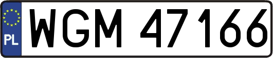 WGM47166