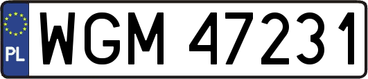 WGM47231