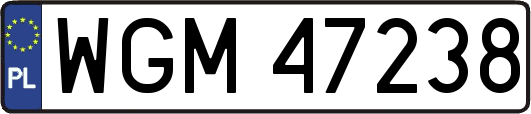 WGM47238