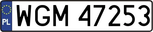 WGM47253