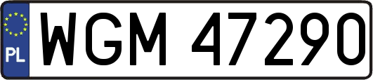 WGM47290