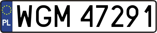 WGM47291
