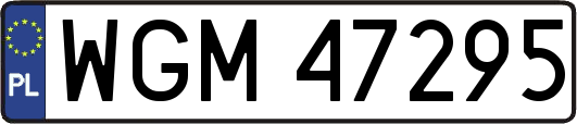 WGM47295