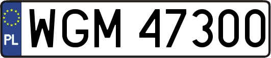 WGM47300