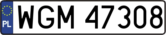 WGM47308