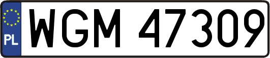 WGM47309