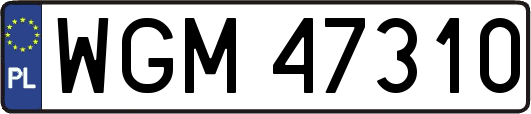 WGM47310