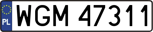 WGM47311