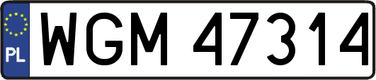 WGM47314