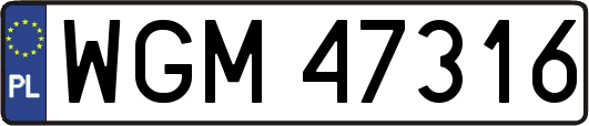 WGM47316