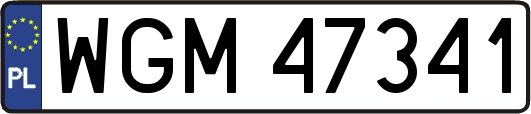 WGM47341