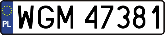 WGM47381