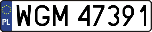WGM47391