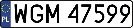 WGM47599