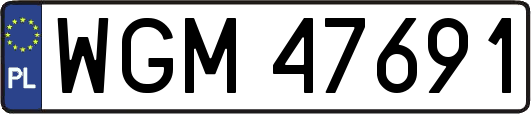WGM47691