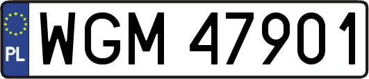 WGM47901