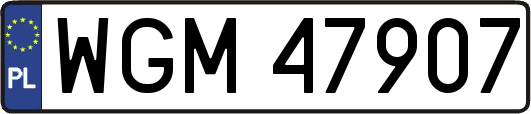 WGM47907