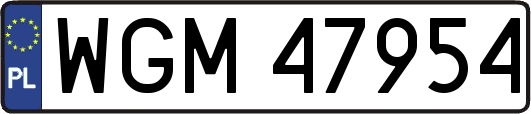 WGM47954