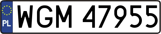 WGM47955