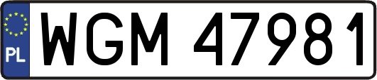 WGM47981