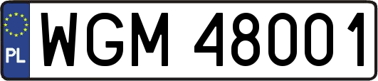 WGM48001