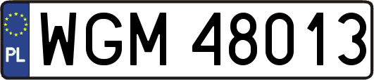 WGM48013