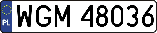 WGM48036