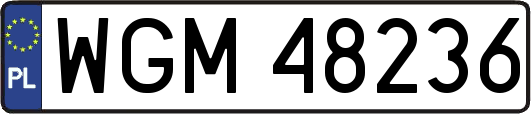 WGM48236