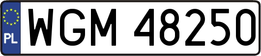 WGM48250