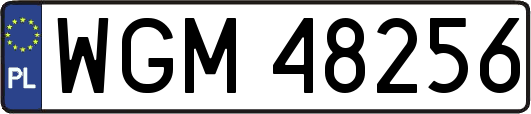 WGM48256