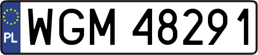 WGM48291