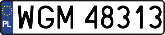 WGM48313