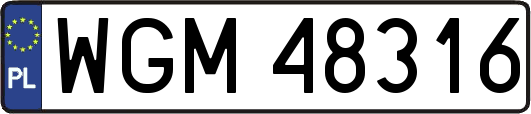WGM48316