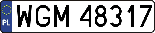 WGM48317
