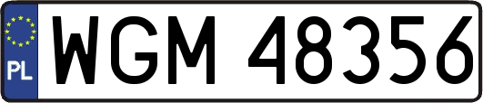 WGM48356