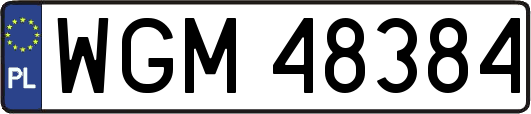 WGM48384
