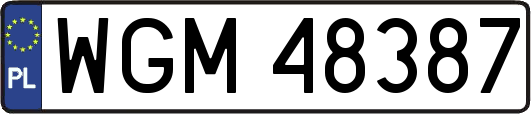 WGM48387