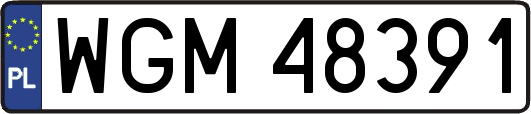 WGM48391