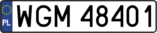 WGM48401