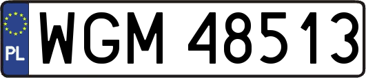 WGM48513