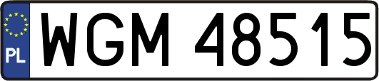 WGM48515