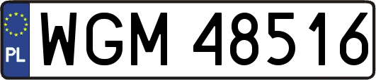 WGM48516